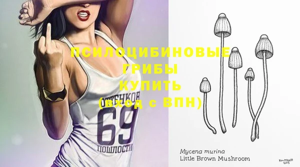 шишки Липки