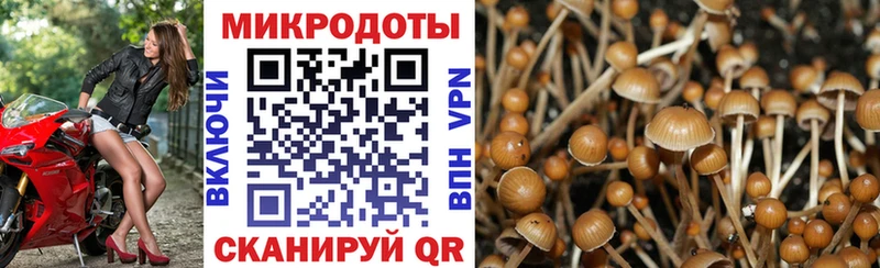 Галлюциногенные грибы Magic Shrooms  Юрьевец 